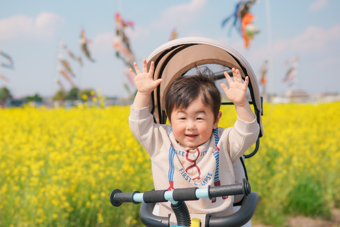 菜の花畑で万歳する男の子の写真