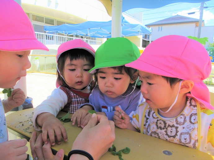 写真：クローバーを見つめる子どもたち
