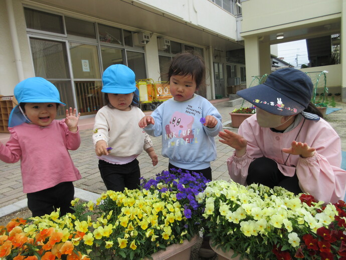 写真:花を見ている子どもと保育者