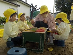 写真：プラフォーミング遊びの様子