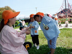 写真：遠足で遊ぶ様子