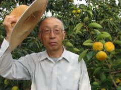 写真：柿のシバタの生産者