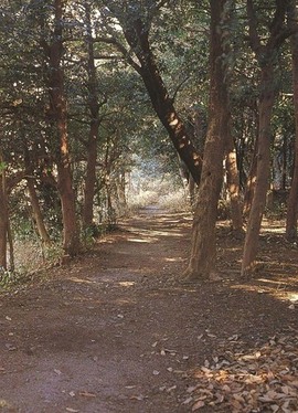 鎌倉街道伝承地