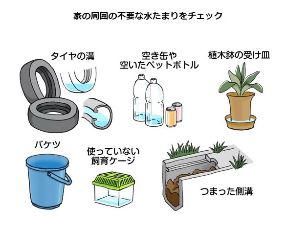 家の周囲の不要な水たまりをチェック